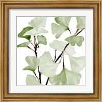 Framed 'Mint Ginko Stems I' border=