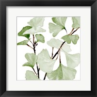 Framed Mint Ginko Stems I