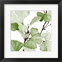 Framed Mint Ginko Stems II