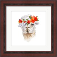 Framed 'Floral Llama II' border=