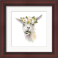 Framed 'Floral Llama III' border=