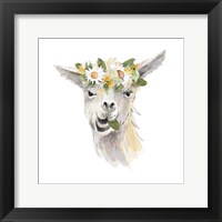 Framed 'Floral Llama III' border=