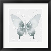 Framed 'Grey Watercolor Butterflies II' border=