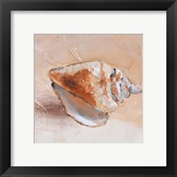 Framed 'Copper Sea Shell' border=