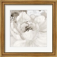 Framed 'Light Grey Flowers I' border=