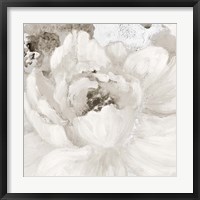 Framed Light Grey Flowers I