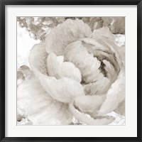 Light Grey Flowers II Framed Print