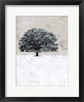 Framed Old Black Tree