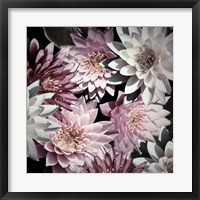 Framed Plum Florals