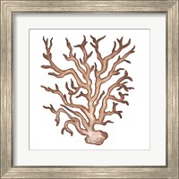 Framed 'Coastal Icon Coral III' border=