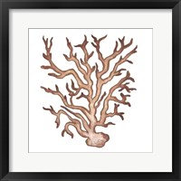 Framed 'Coastal Icon Coral III' border=