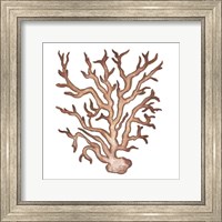 Framed 'Coastal Icon Coral III' border=