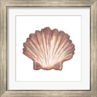 Framed 'Coastal Icon Coral VI' border=