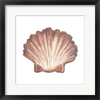 Framed 'Coastal Icon Coral VI' border=