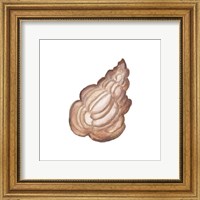 Framed 'Coastal Icon Coral IX' border=