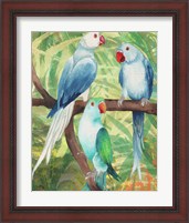 Framed 'Tropical Birds I' border=