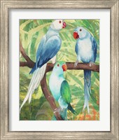 Framed 'Tropical Birds I' border=