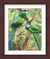 Framed 'Tropical Birds II' border=