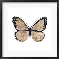 Flutter Gold II Framed Print