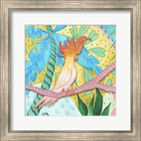 Framed 'Playful Parrot' border=