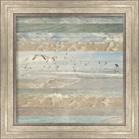 Framed 'Flying Beach Birds I' border=