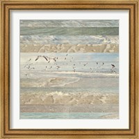 Framed 'Flying Beach Birds I' border=