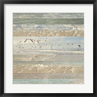 Flying Beach Birds I Framed Print