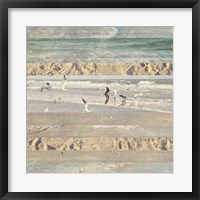 Flying Beach Birds II Framed Print