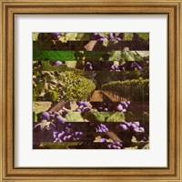 Framed 'Vinecraft Horizons I' border=