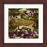 Framed 'Vinecraft Horizons II' border=