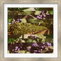 Framed 'Vinecraft Horizons II' border=