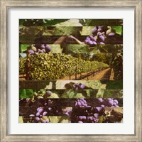 Framed 'Vinecraft Horizons II' border=