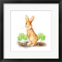 Framed Spring Bunny IV