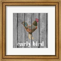 Framed 'Early Bird Rooster' border=