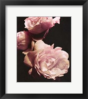 Framed Solitary Bouquet II