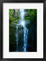 Framed Natural Rain Forest