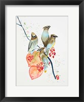 Framed Birds on Branch