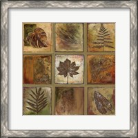 Framed 'Leaf Square I' border=