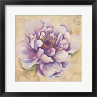 Framed 'In Bloom II' border=