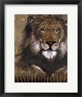 Framed Brown Lion