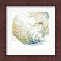 Framed 'Water Conch' border=