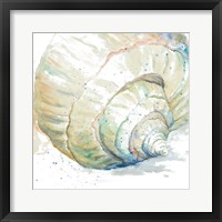 Water Conch Framed Print