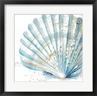 Water Shell Framed Print