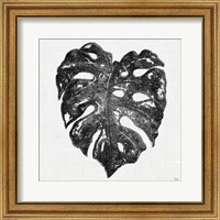 Framed 'Dark Leaf Palm II' border=