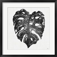 Dark Leaf Palm II Framed Print