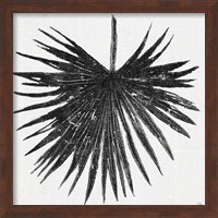 Framed 'Dark Leaf Palm I' border=