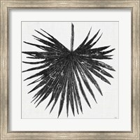 Framed 'Dark Leaf Palm I' border=