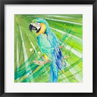 Framed Colorful Parrot