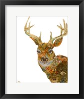Framed Retro Deer