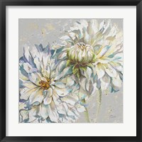 Grey Dahlias I Framed Print